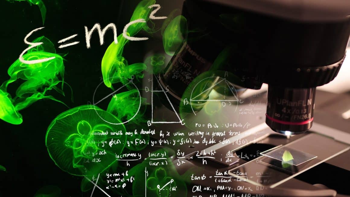 Nejlepší v matematice v okrese