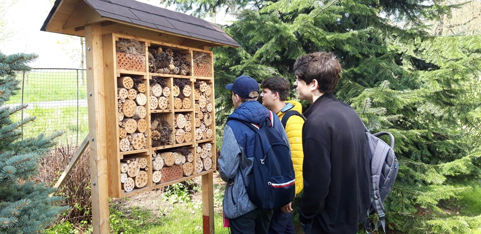 3 místo v mezinárodní soutěži YPEF 8 3. místo v mezinárodní soutěži YPEF