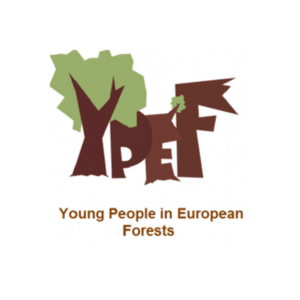 Naši studenti a studentky postoupili do regionálního kola soutěže YPEF