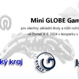 Mini Globe Games 2024