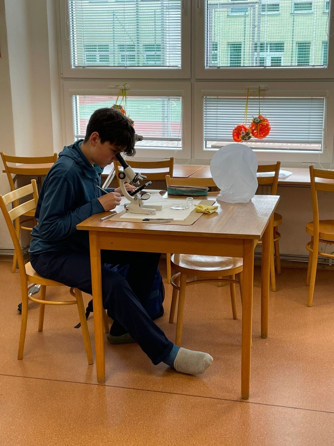 okresni-kolo-biologicke-olympiadyi-2 Biologická olympiáda a další vybojovaný postup do krajského kola