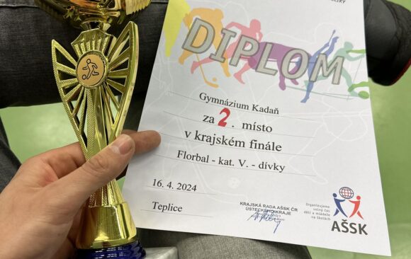 stribrné-v-kraji-ve-florbale-2024-4 Druhé nejlepší v kraji ve florbale