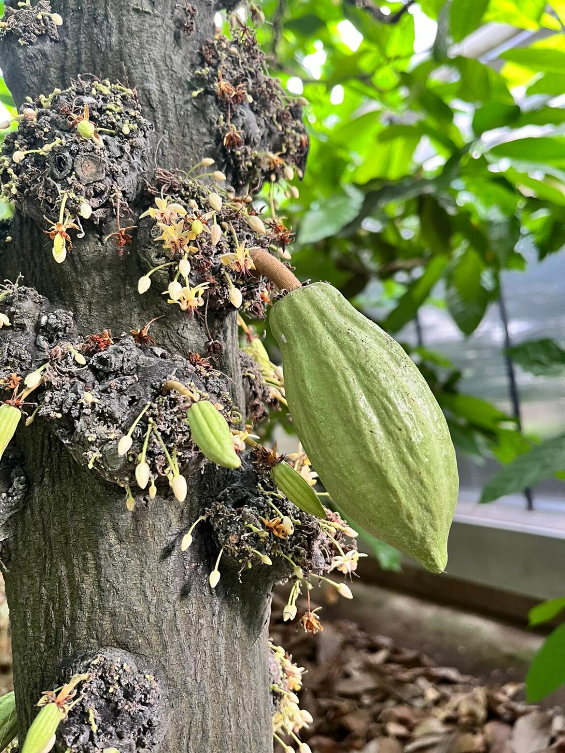 jana_staz_prazdniny_uni_kassel_3 Gymnazistka z Kadaně na stáži na Universität Kassel