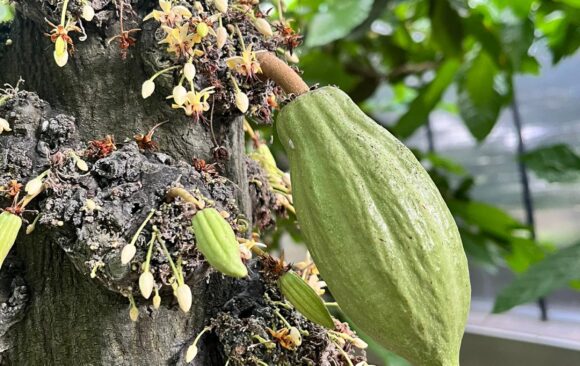 jana_staz_prazdniny_uni_kassel_3 Gymnazistka z Kadaně na stáži na Universität Kassel