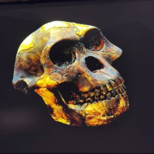 Návštěva prababičky v Národním muzeu v Praze