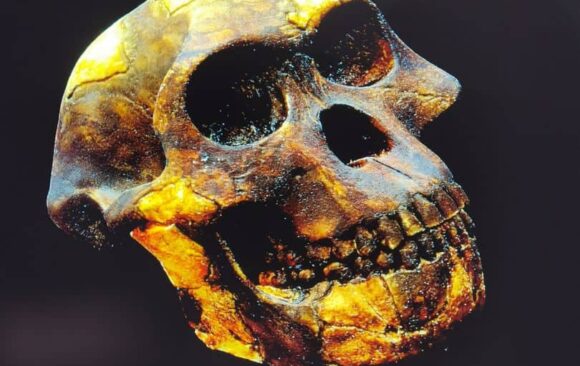 Návštěva prababičky v Národním muzeu v Praze